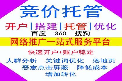 SEM运营中的数据分析和优化案例研究